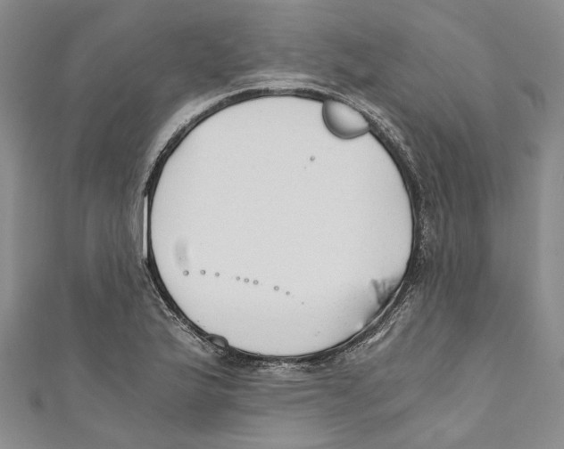 X0000110671175200907101100