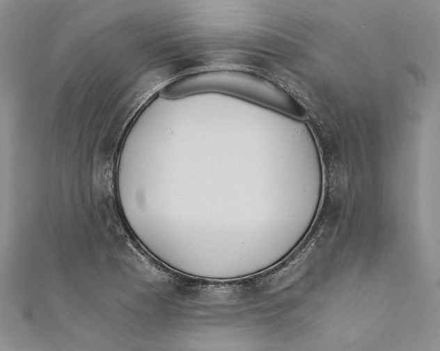 X0000110671177200907101100