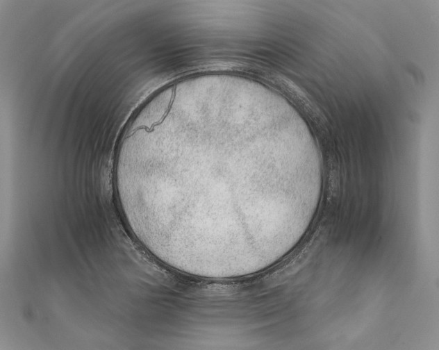 X0000110671178200907101100