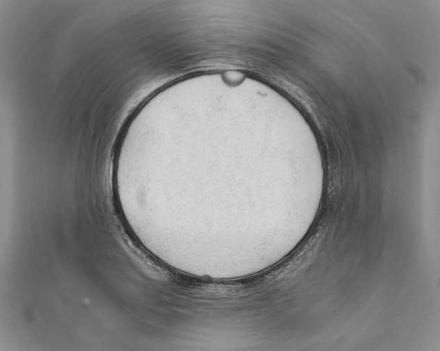 X0000110671179200907101100