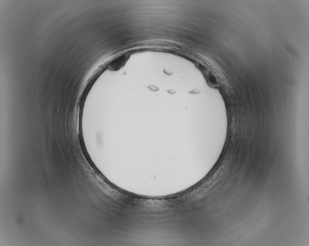 X0000110671180200907101100