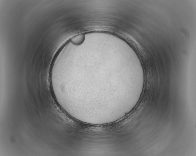 X0000110671182200907101100