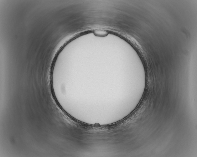 X0000110671183200907101100