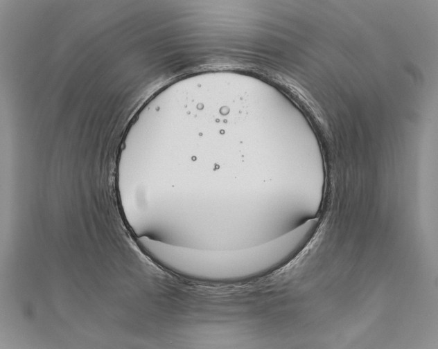 X0000110671185200907101100