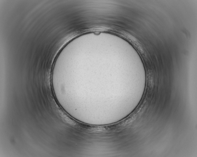 X0000110671186200907101100