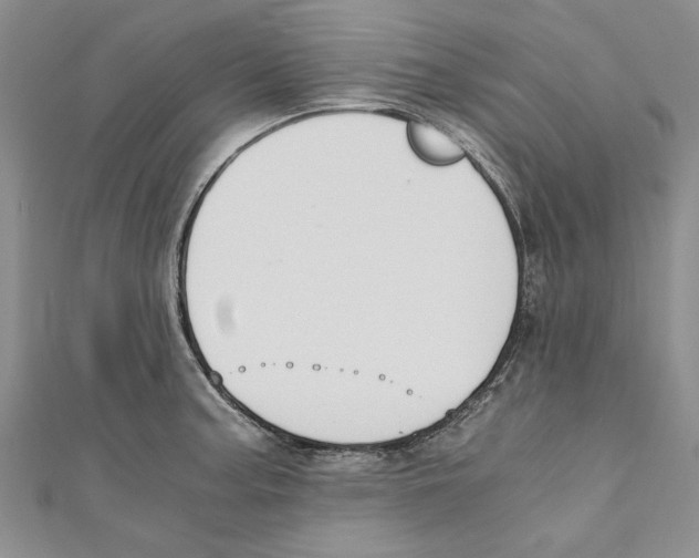 X0000110671187200907101100