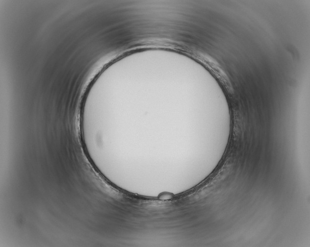 X0000110671188200907101059