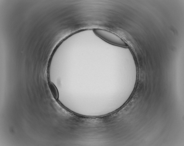 X0000110671189200907101059