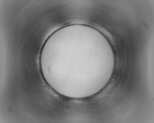 X0000110671190200907101059