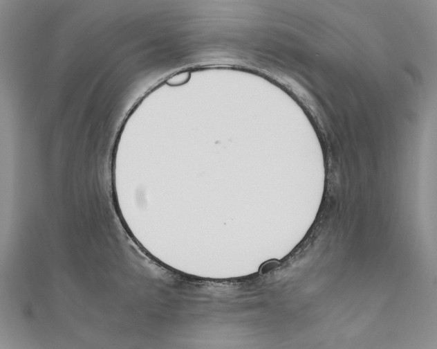 X0000110671191200907101059