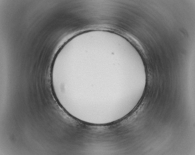 X0000110671192200907101059