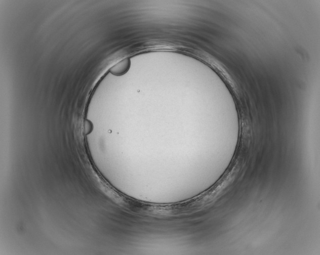 X0000110671194200907101059