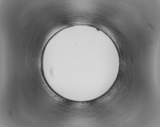 X0000110671195200907101059