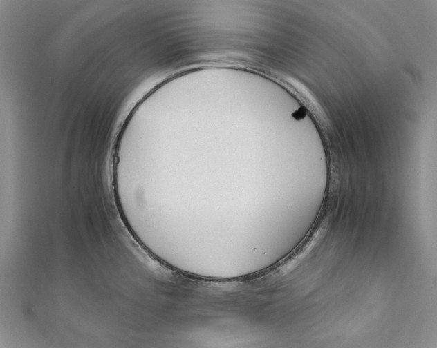 X0000110671196200907101059