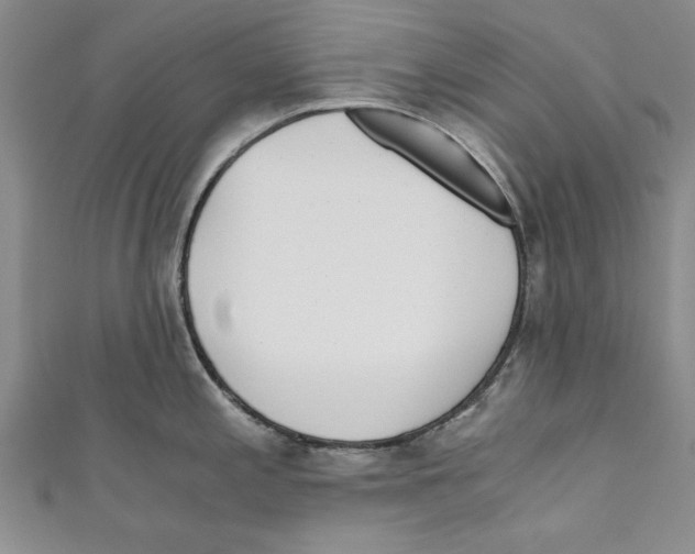 X0000110671197200907101059