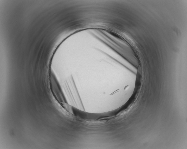 X0000110671200200907101059