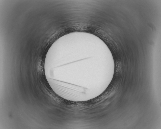 X0000110671202200907101059