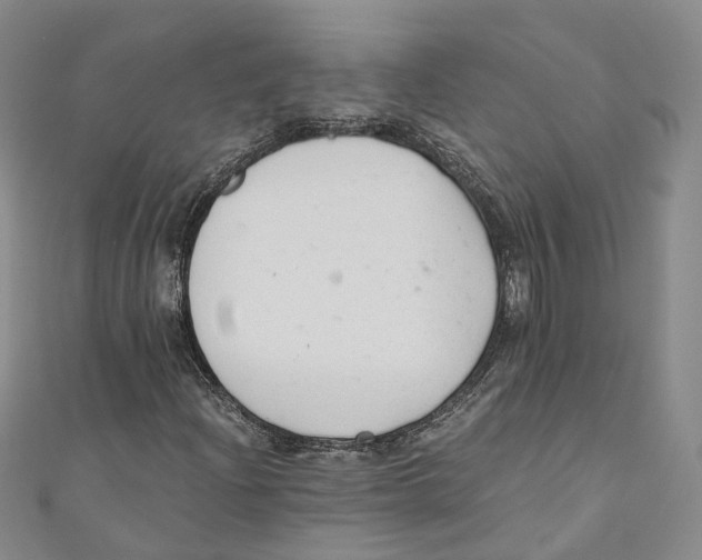 X0000110671204200907101059