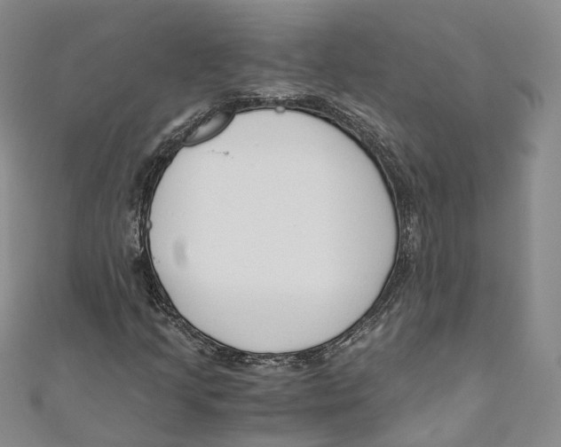 X0000110671205200907101059