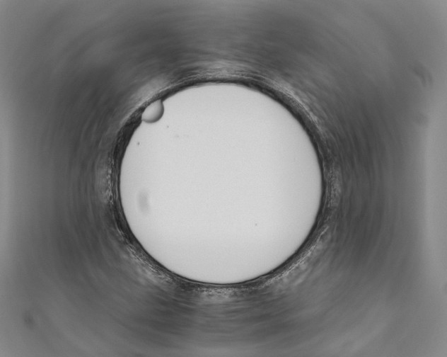 X0000110671211200907101059