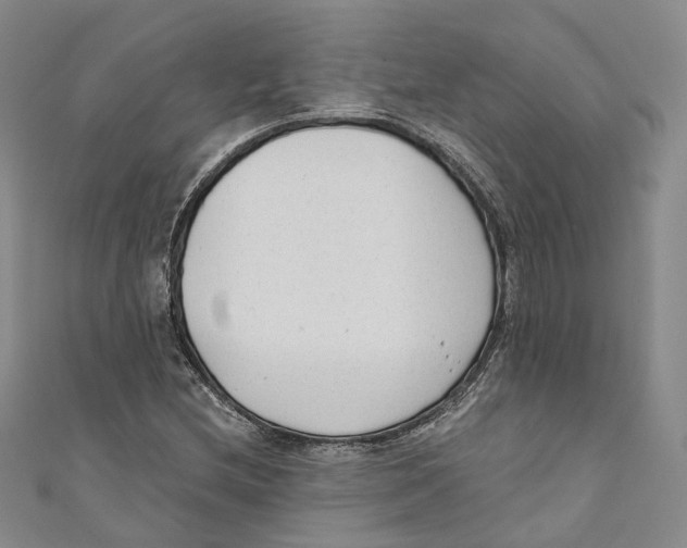 X0000110671212200907101059