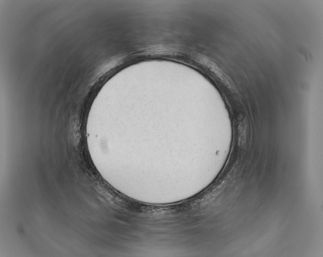 X0000110671213200907101059