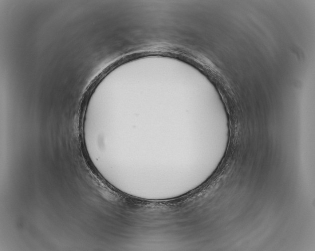 X0000110671216200907101059