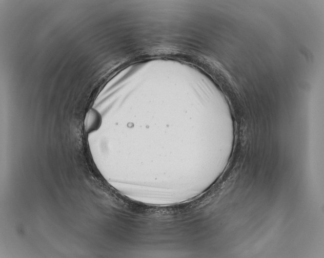 X0000110671217200907101059