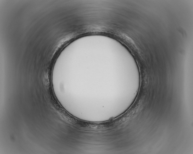 X0000110671218200907101059