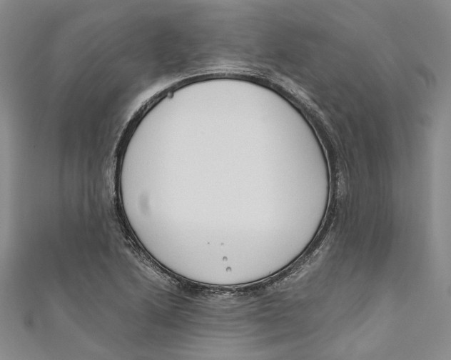 X0000110671222200907101059