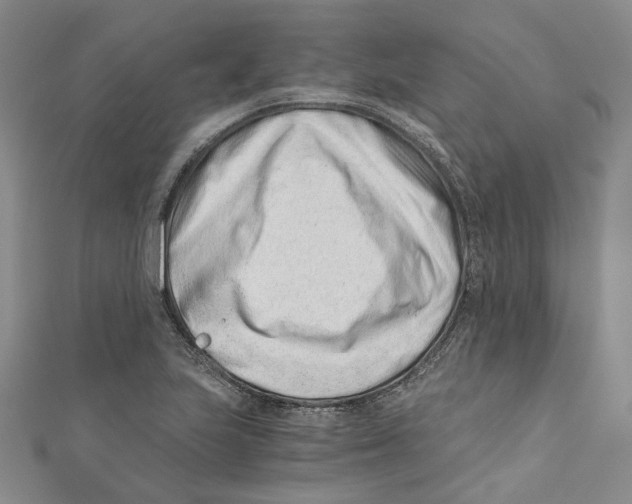 X0000110671223200907101059