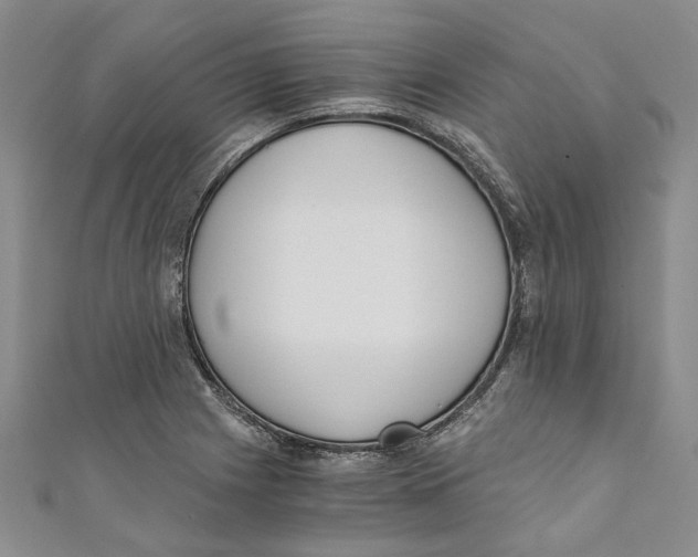 X0000110671225200907101059