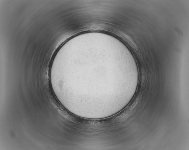 X0000110671226200907101059