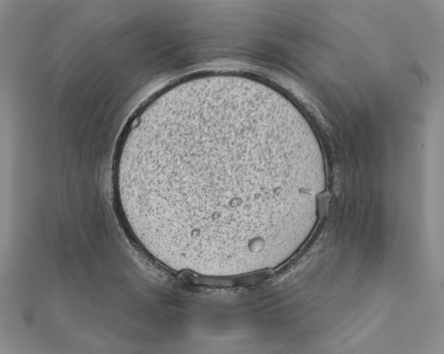 X0000110671229200907101059