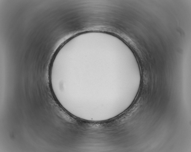 X0000110671230200907101059