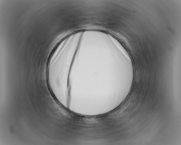 X0000110671231200907101059