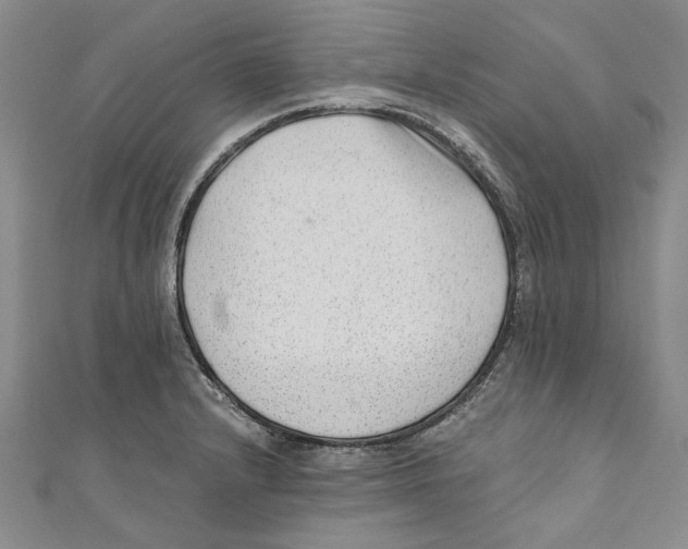 X0000110671232200907101059