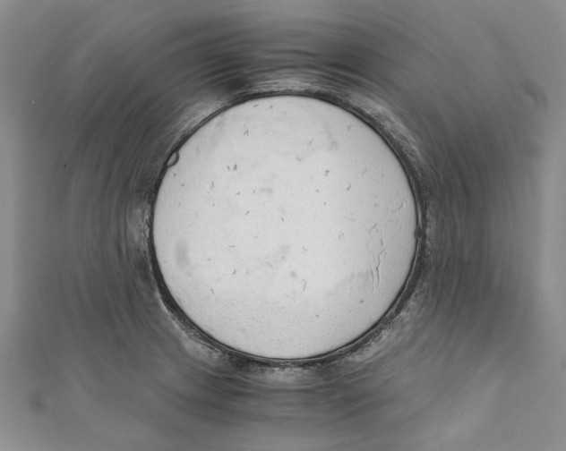 X0000110671233200907101059