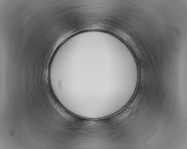 X0000110671234200907101059