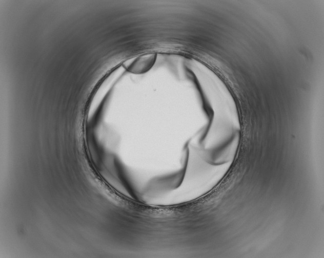 X0000110671235200907101059