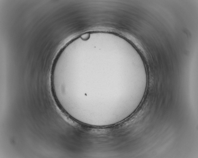 X0000110671237200907101059