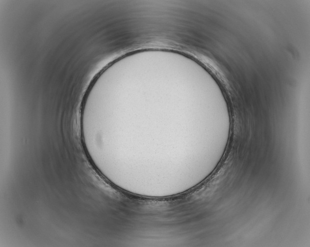 X0000110671238200907101059