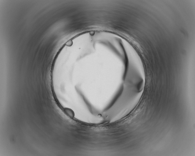 X0000110671239200907101059