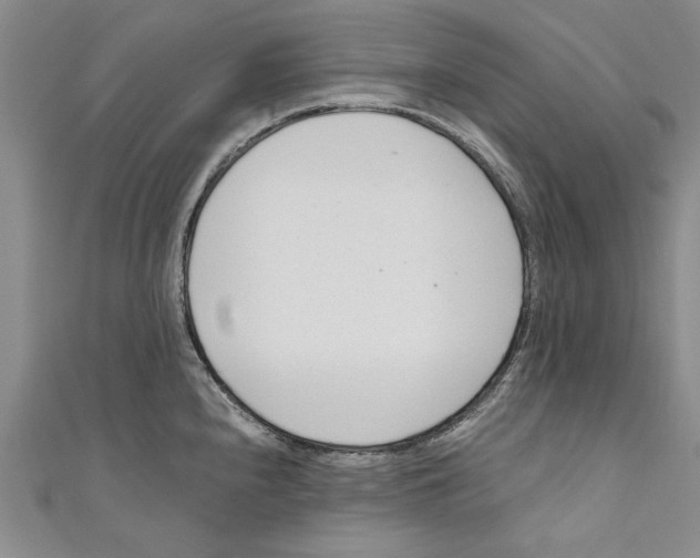 X0000110671240200907101059