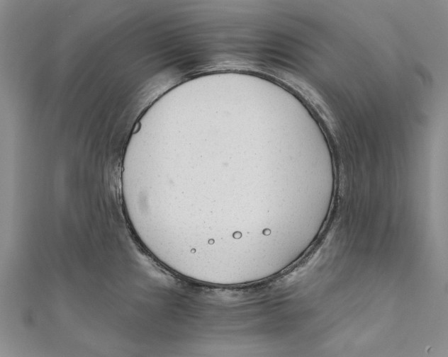 X0000110671241200907101059