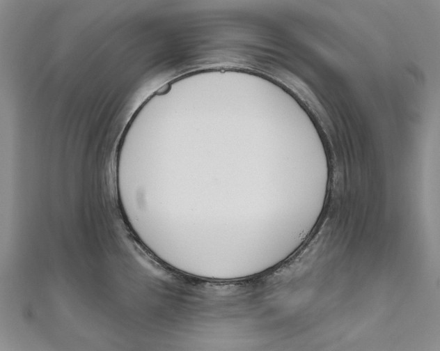 X0000110671242200907101059