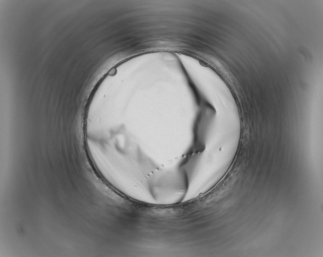 X0000110671243200907101059