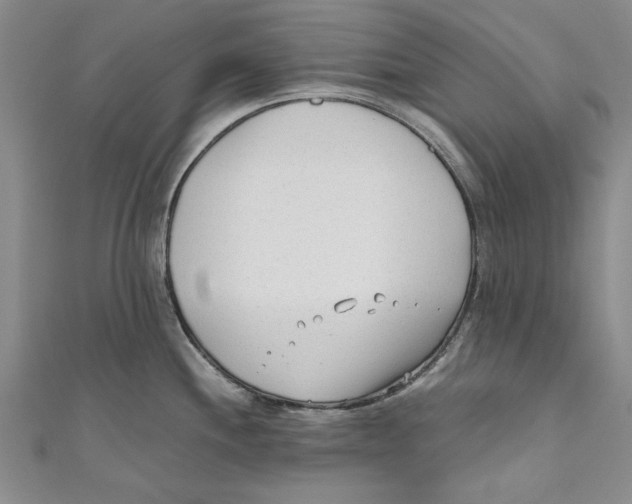 X0000110671244200907101059