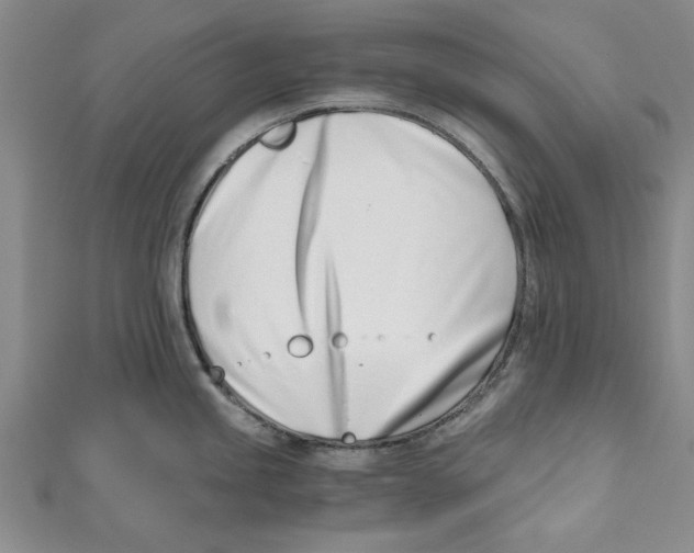 X0000110671245200907101059