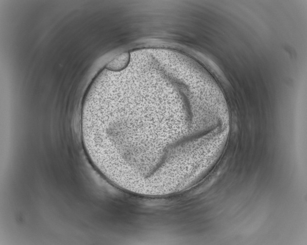 X0000110671247200907101059